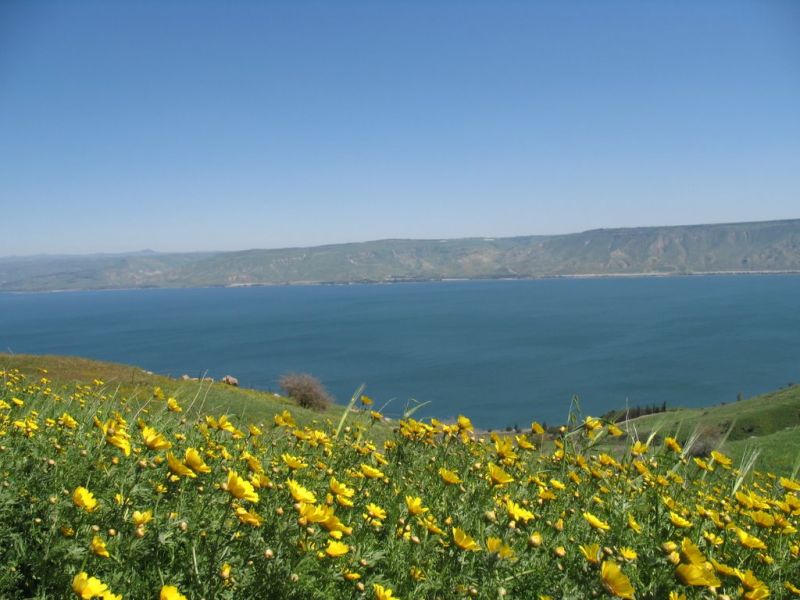 Тверія