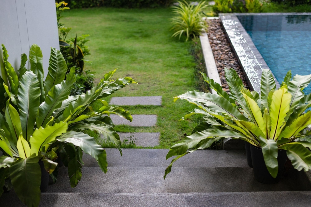 Hotel The Seaton House Phuket. Phuket, Thailand. Prices and Booking. GTO